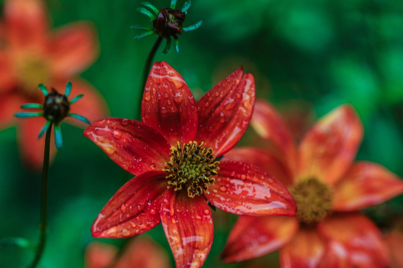 邯郸华夏幸福最新动态,城市发展的脉搏与未来展望展望新篇章