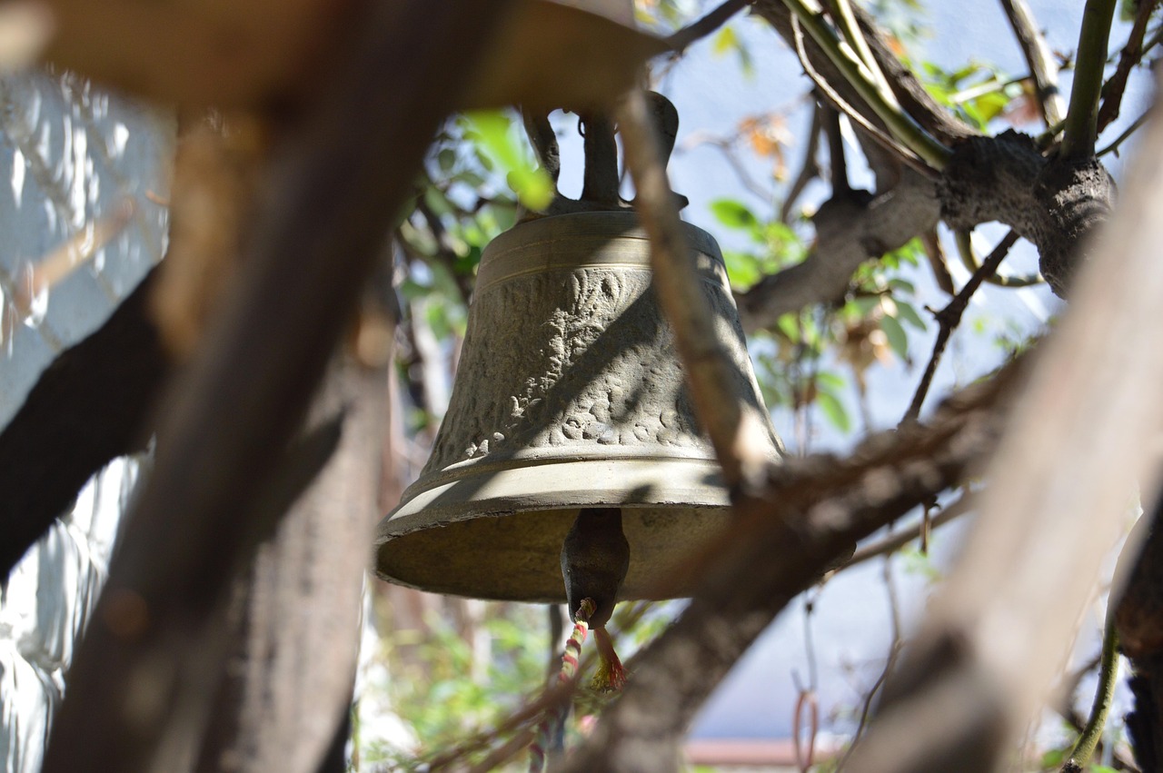 广州楼市最新动态,市场走势分析与前景展望