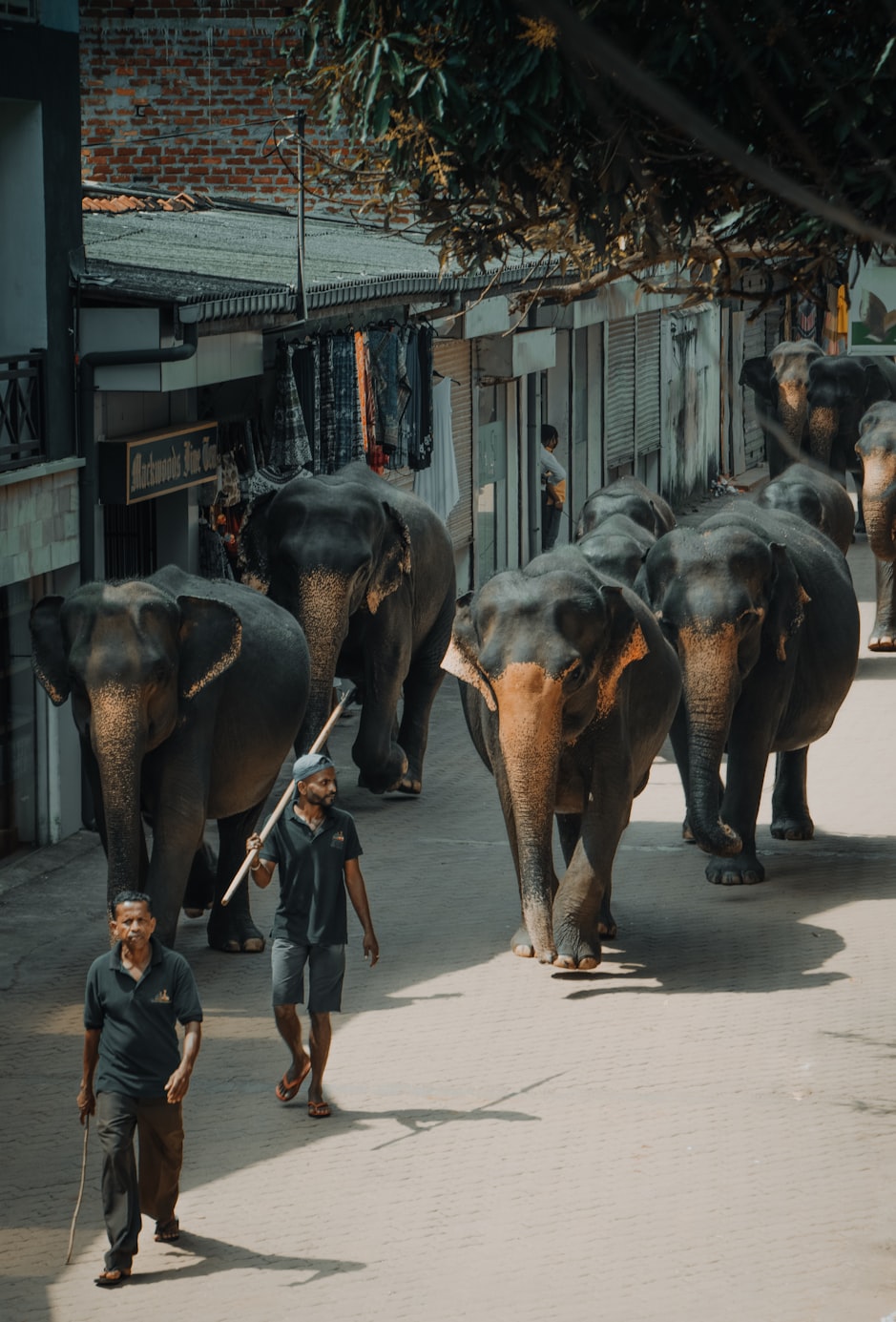郭鑫年最新动态揭晓,创业路上的新里程碑成就揭晓