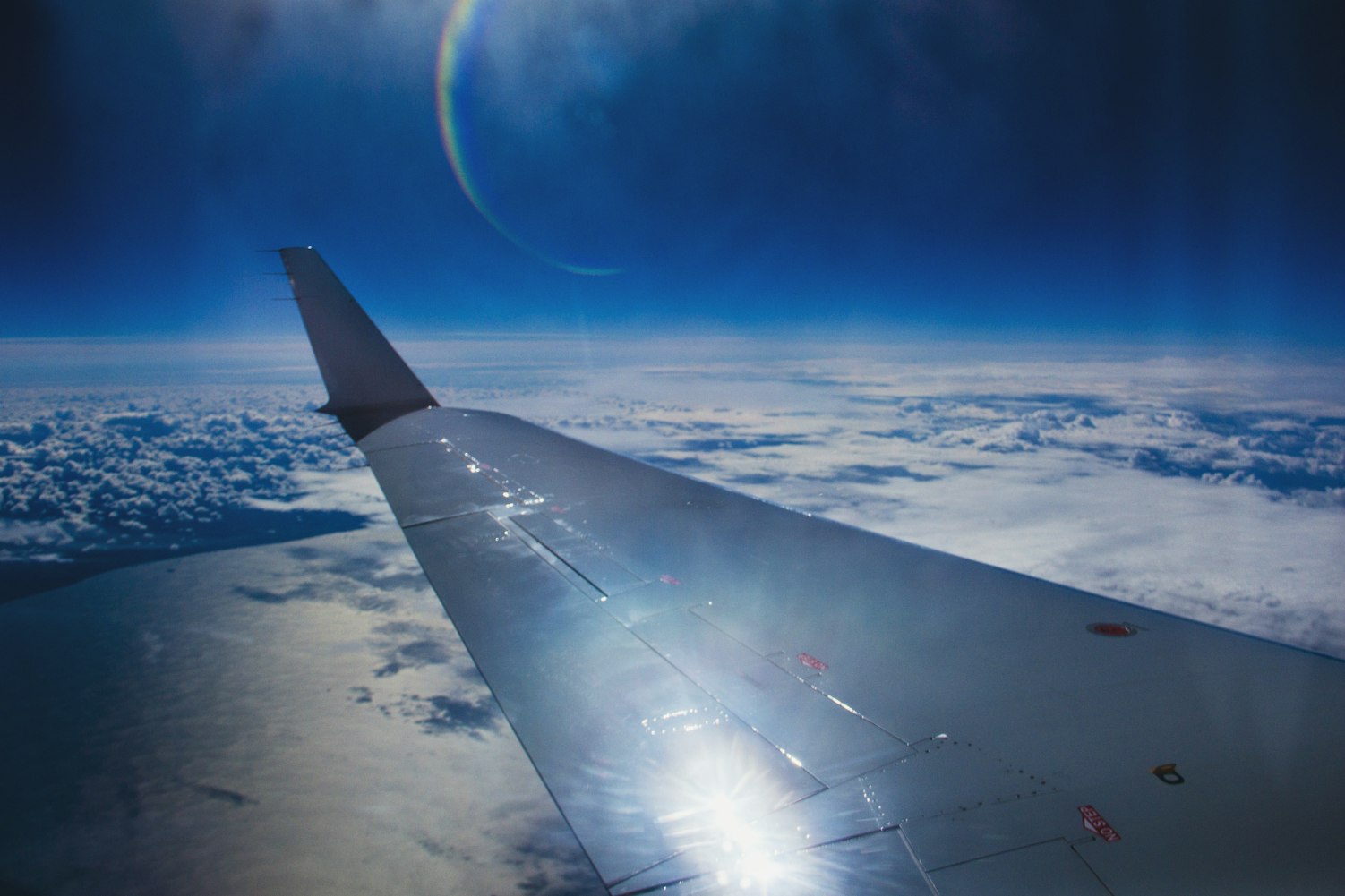 紫蝶舞动新篇章,探索未知,追寻梦想的绚烂色彩