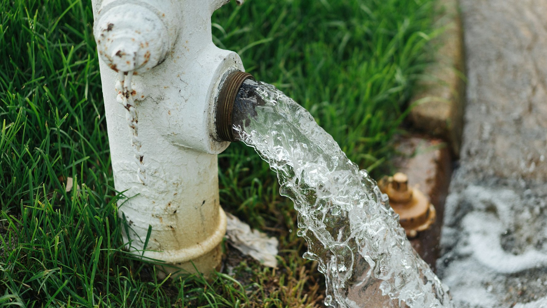 宁波高塘四村蜕变中的社区新面貌最新动态