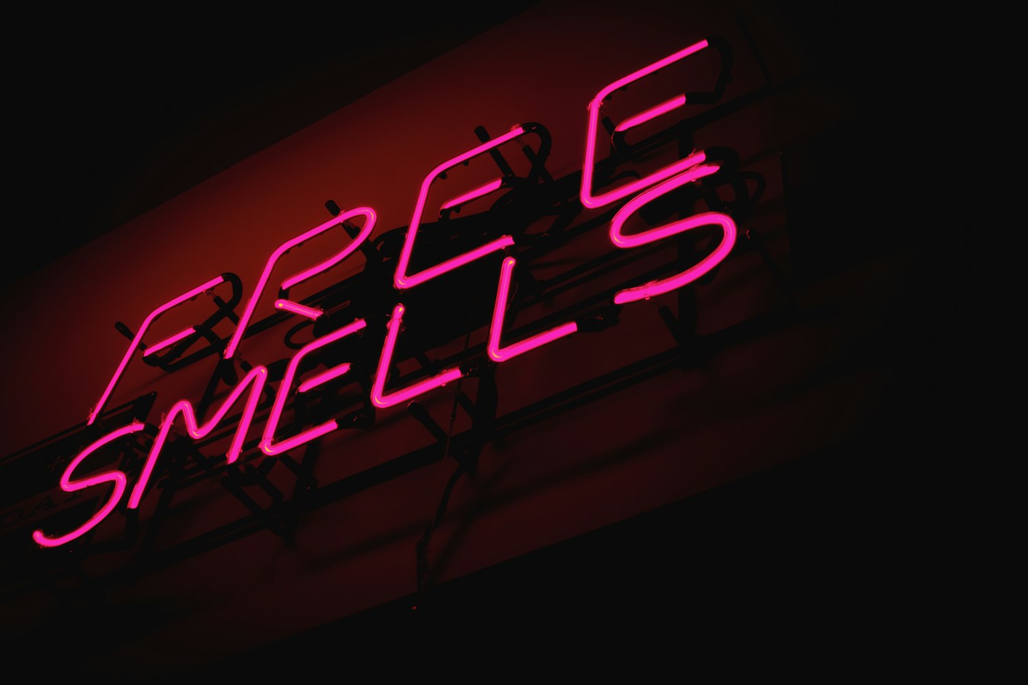 萌系壁纸视觉盛宴,探索萌文化的最新魅力