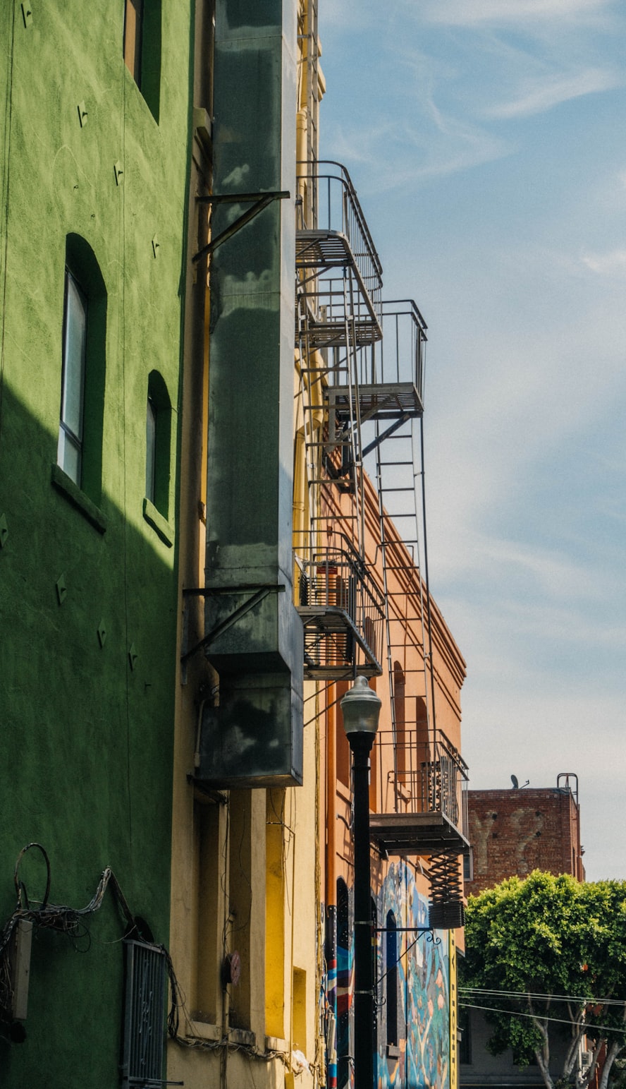 上海牌摄影技巧指南,捕捉城市魅力的艺术秘籍