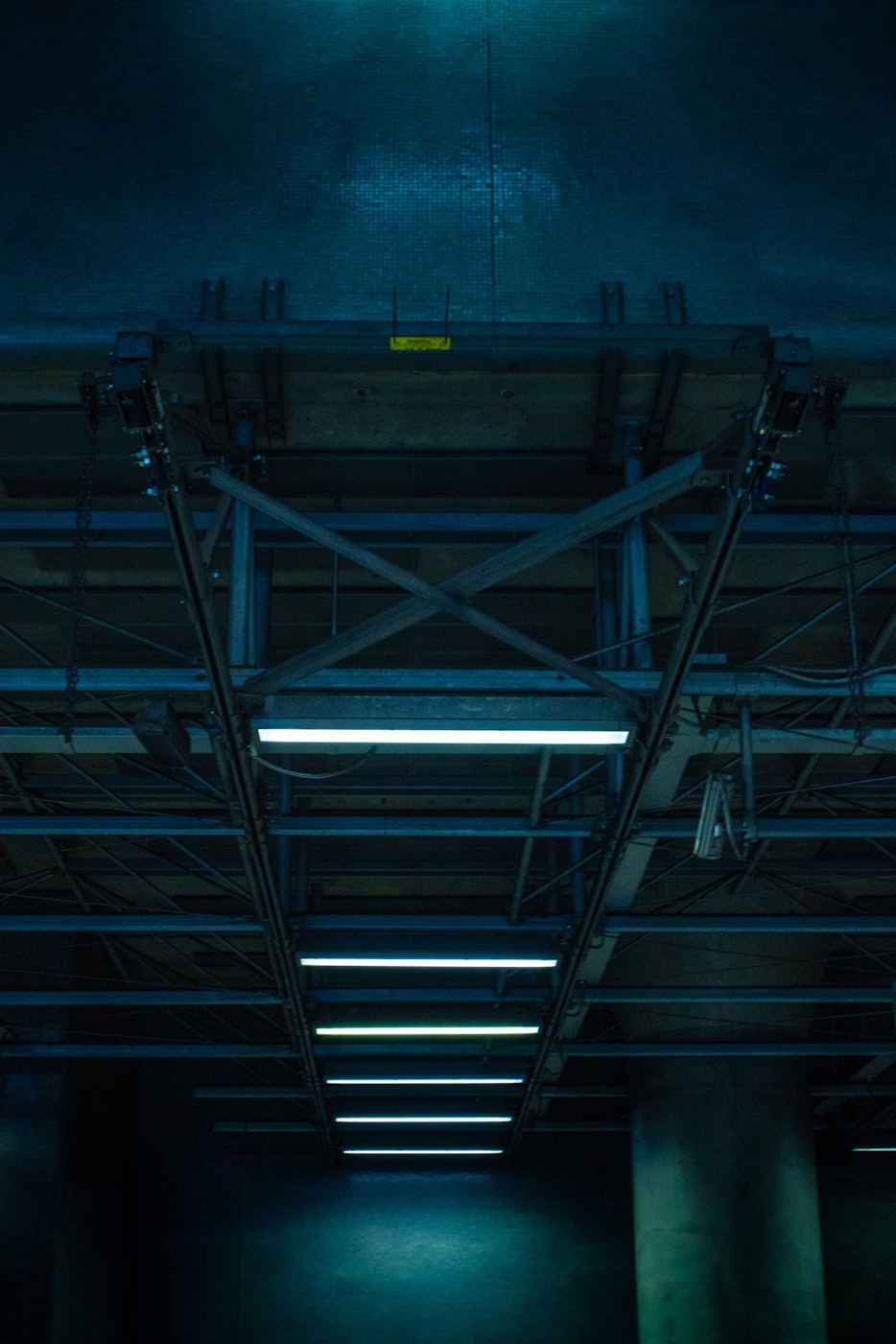 新乡凤泉湖最新动态揭秘未来城市发展的蓝图规划展望