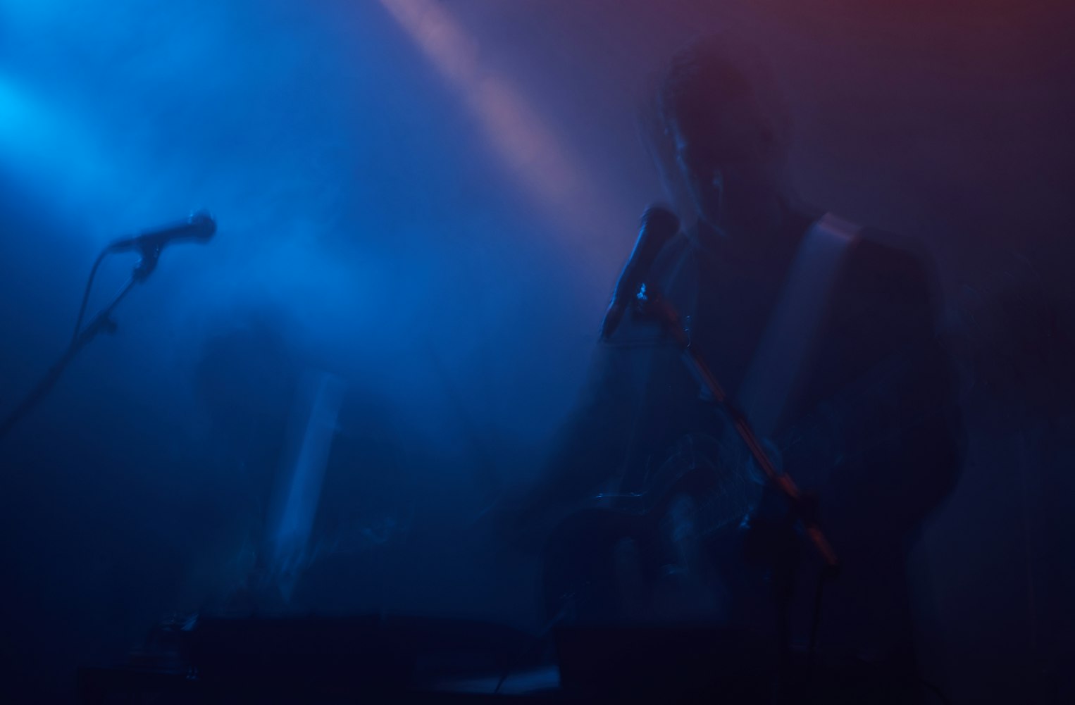 最新高清壁纸,探索魅力世界的无限魅力