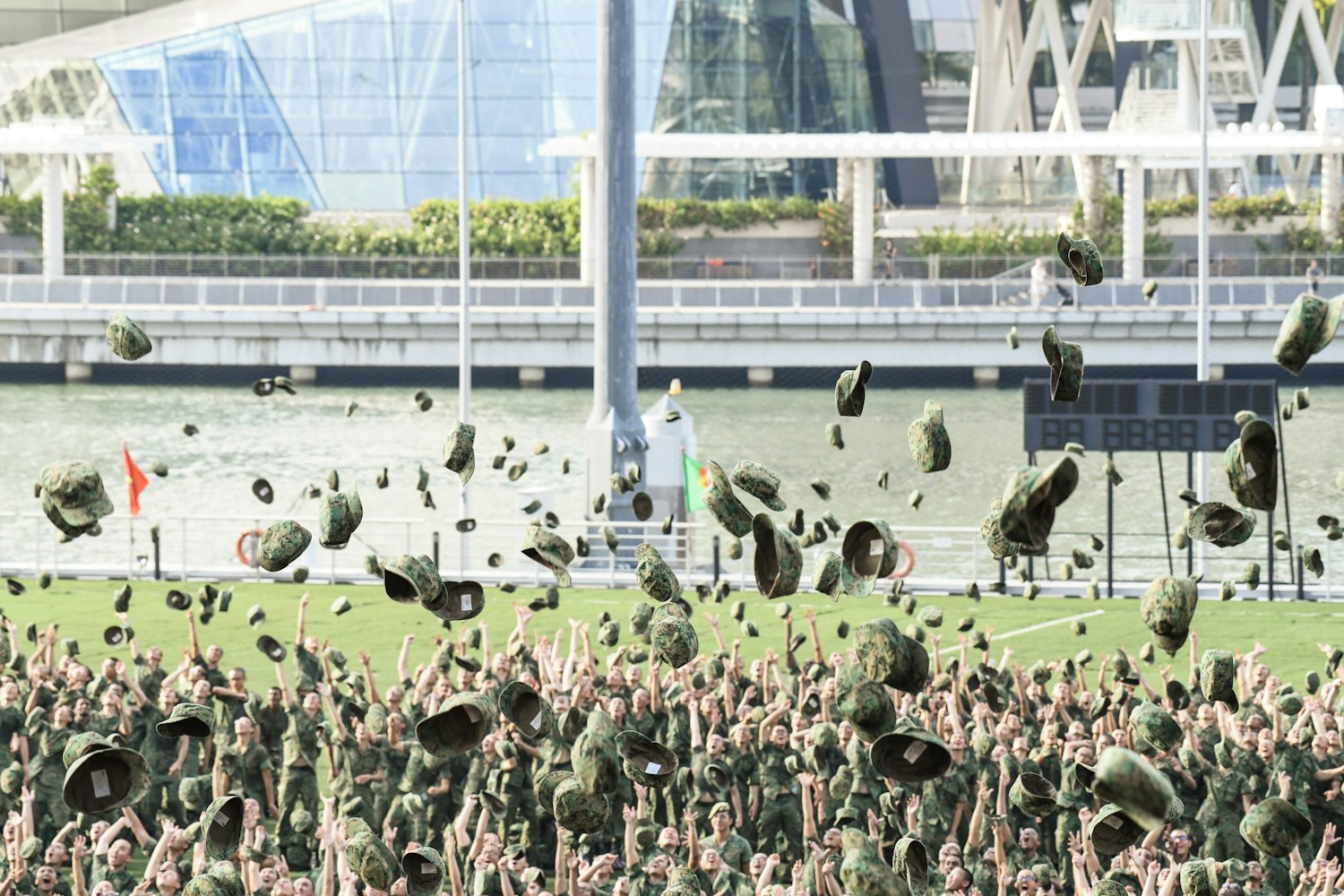 赛鸽定向新进展,探索未来竞技新领域