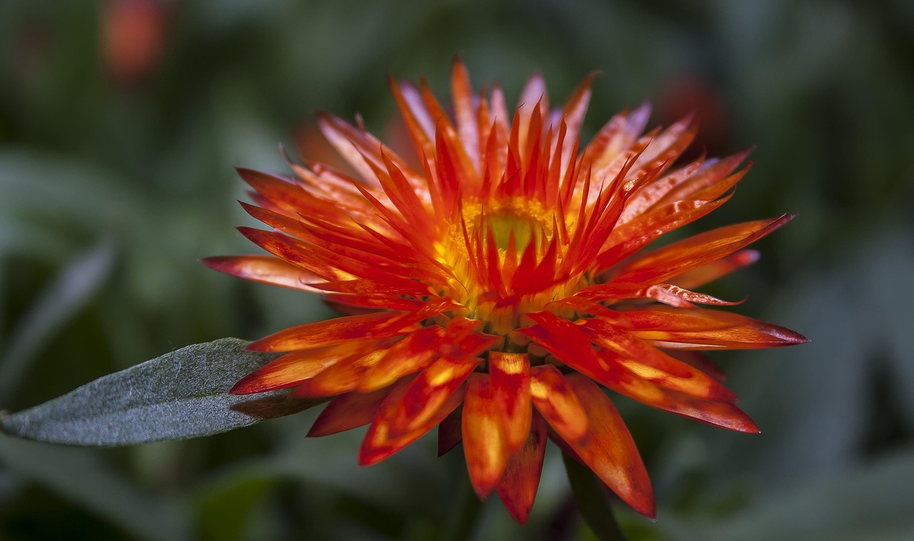 最新杭州肺炎情况概述,疫情动态与防控措施分析