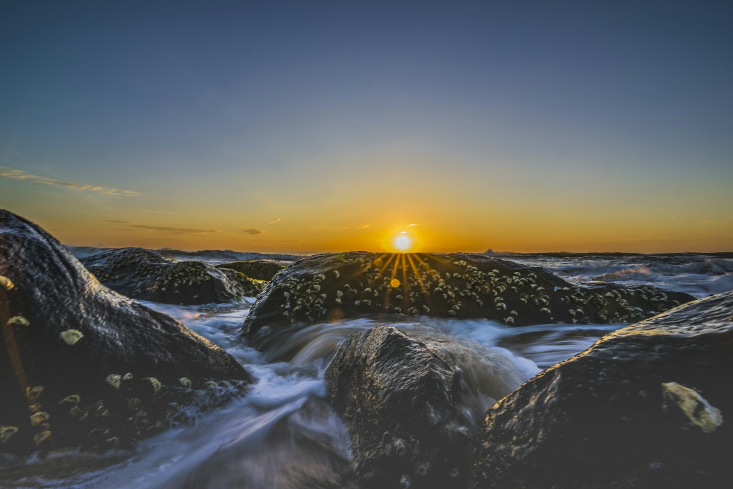 电影孤岛,虚拟世界生存探索之道