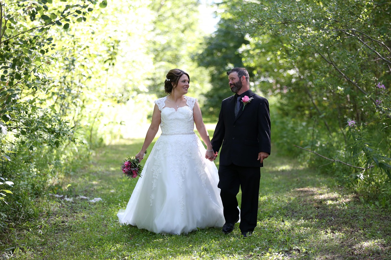 刘家媳妇,乡村家庭温情与励志的深情解读