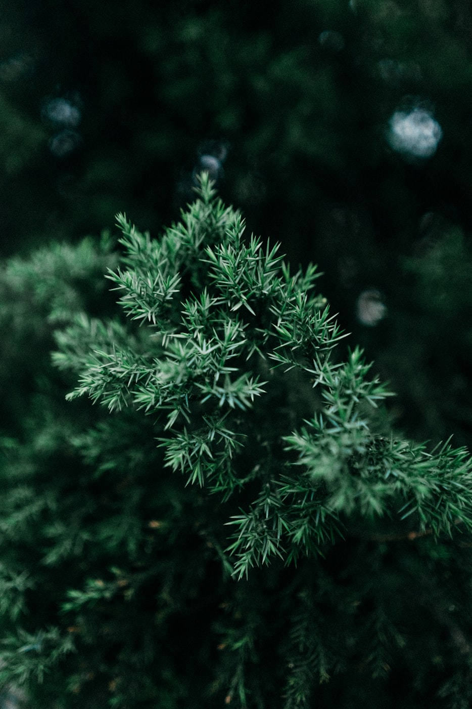 余干新鲜资讯,探索城市新动态与发展趋势