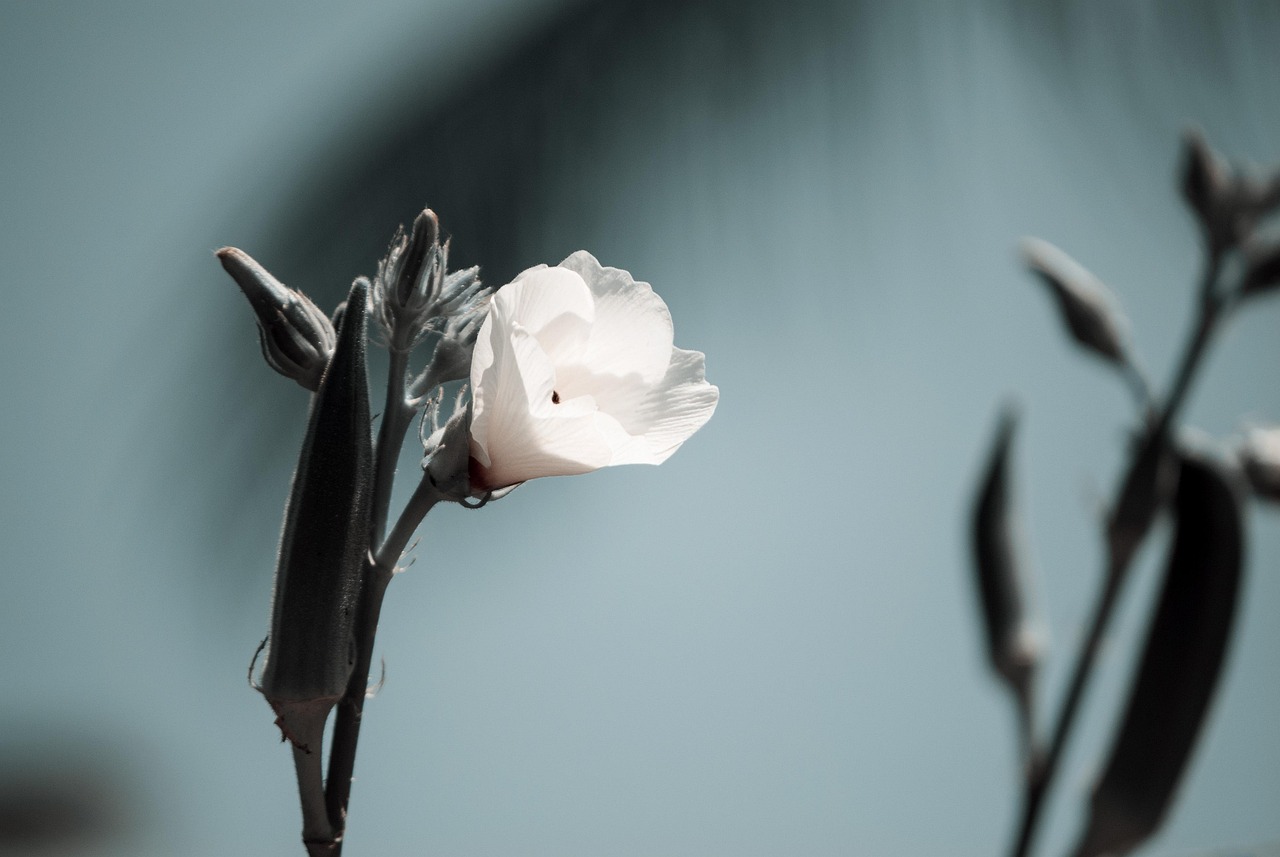 宝坻区最新疫情动态更新