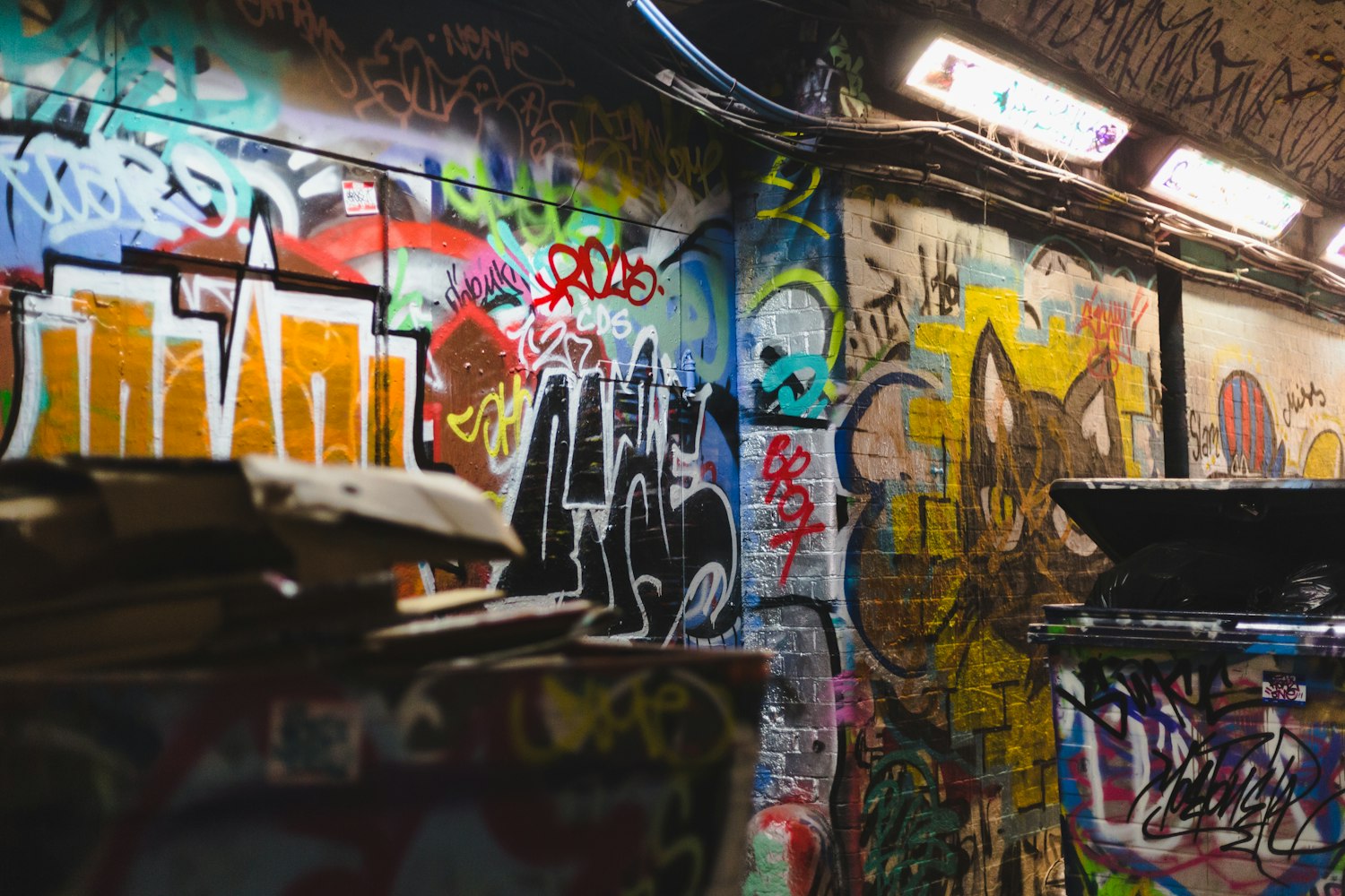 广州展览资讯,城市文化与艺术盛宴的盛大展示