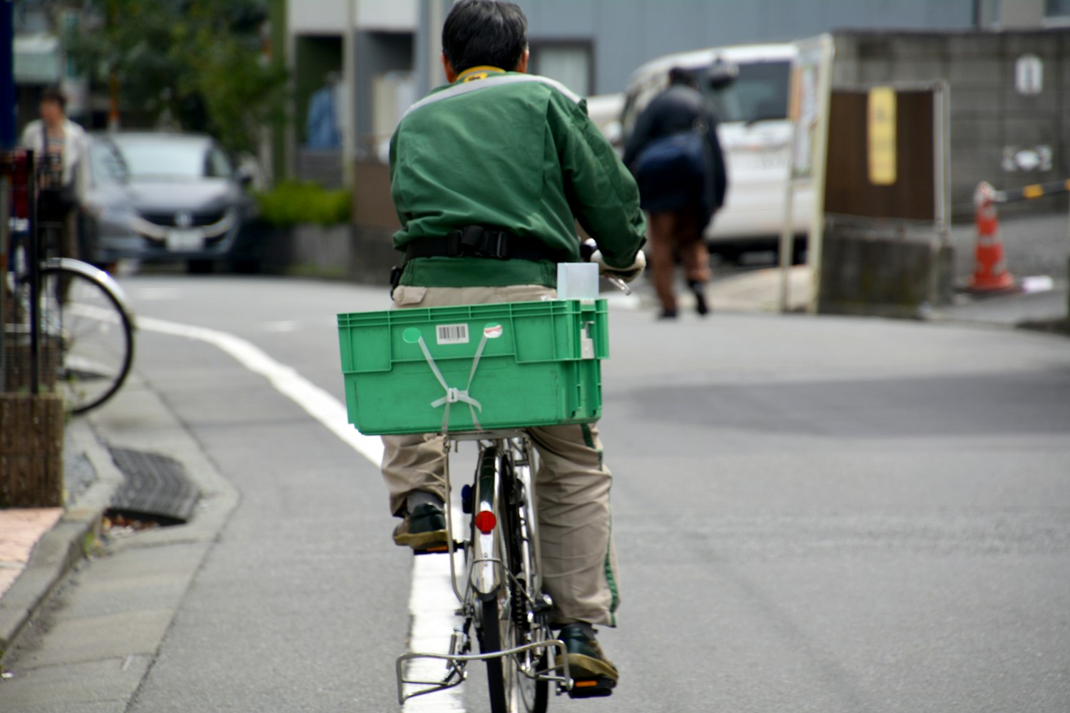 东盟森林最新动态与发展消息速递