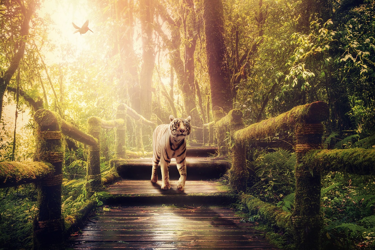 灵媒电影,神秘之旅探索超自然力量