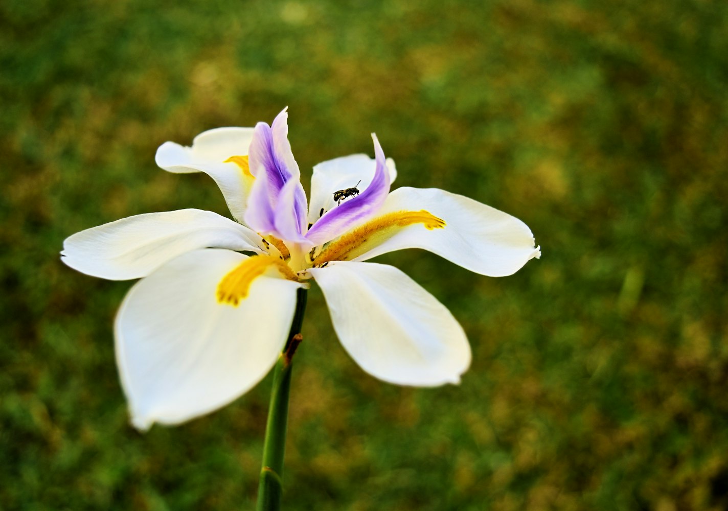 钟汉良机场最新动态揭秘,行程繁忙中的细节分享与粉丝见面会