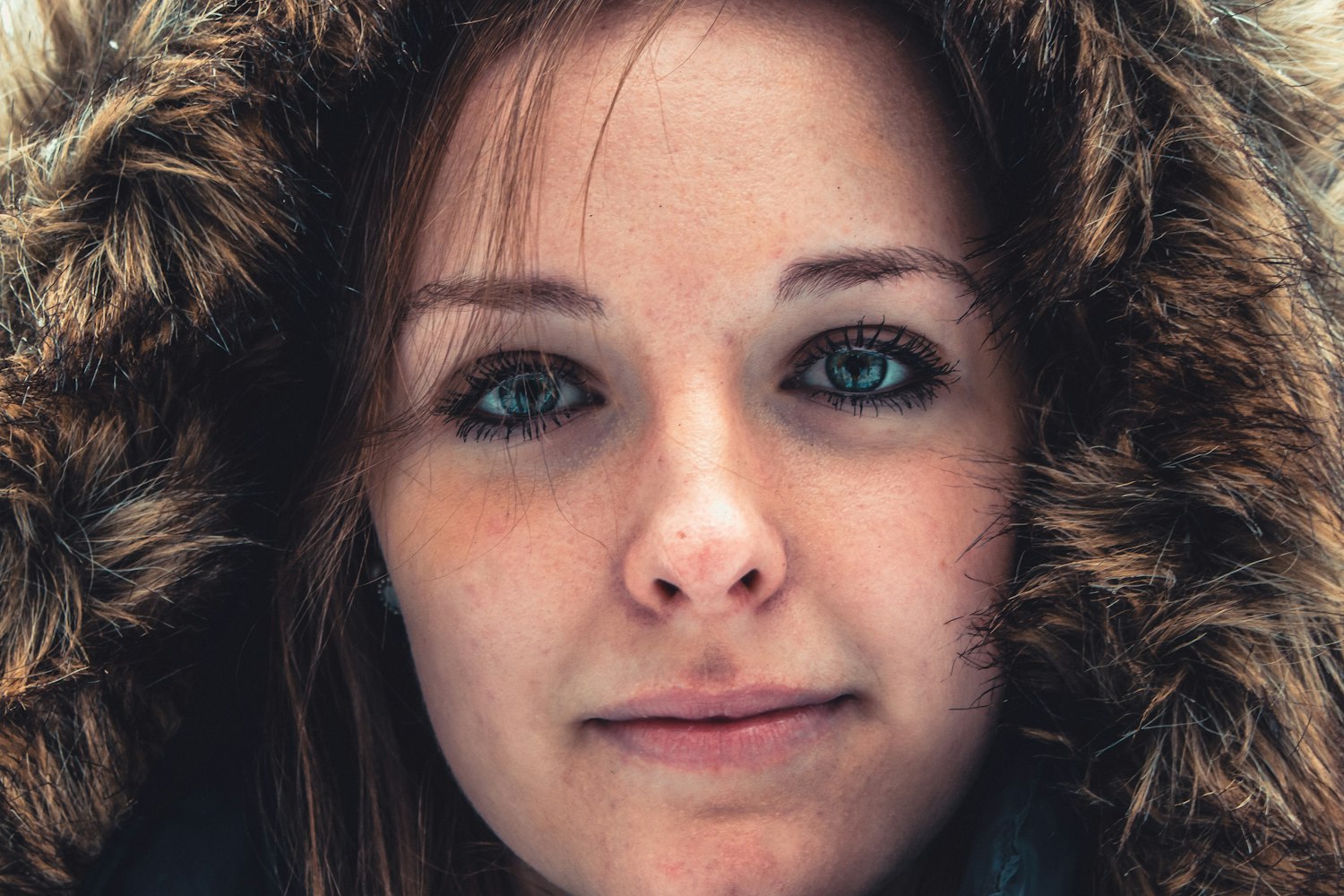 贾女演员,影视界的璀璨明珠