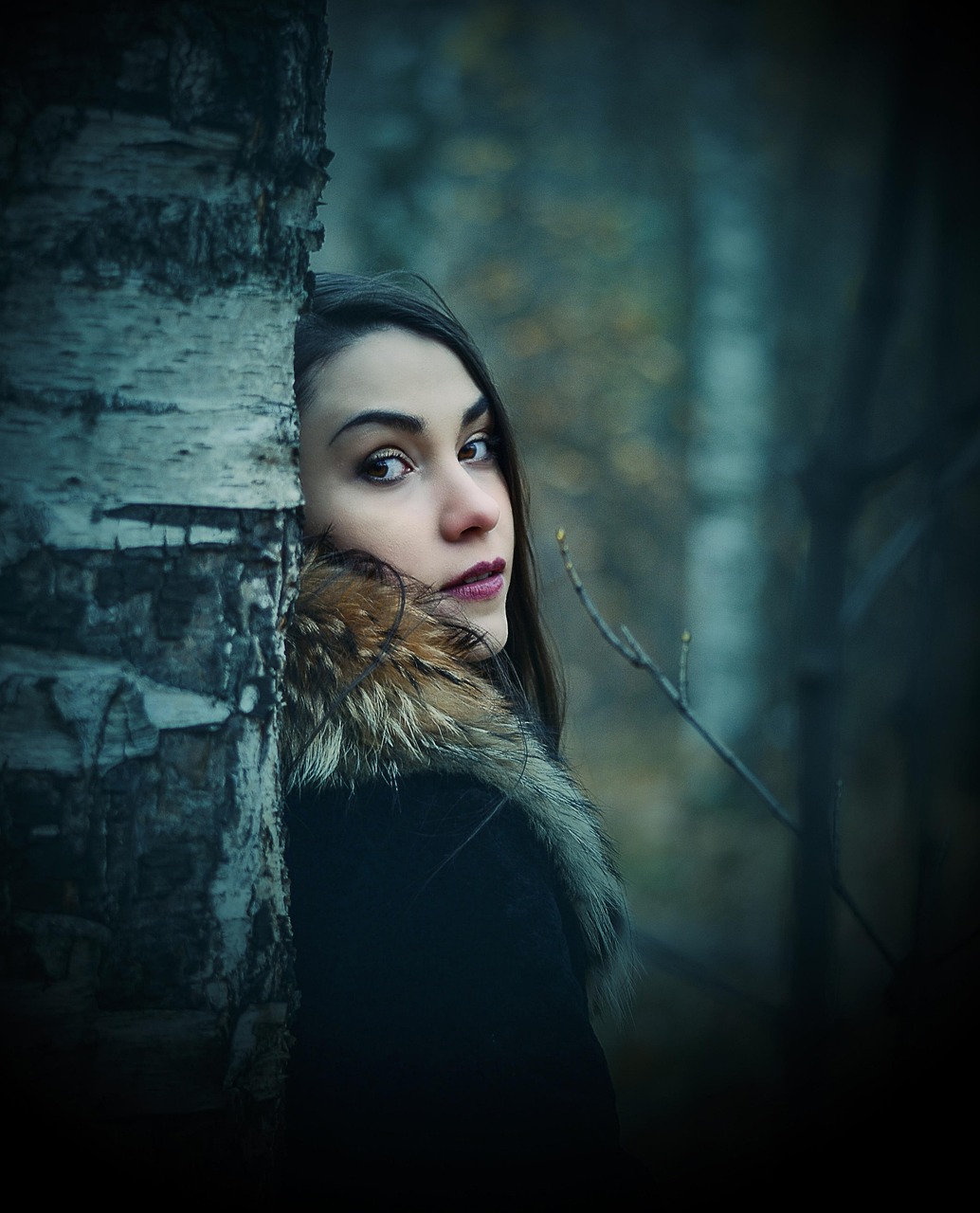 EXO最新MV吸血鬼元素揭秘,神秘魅力的探索之旅