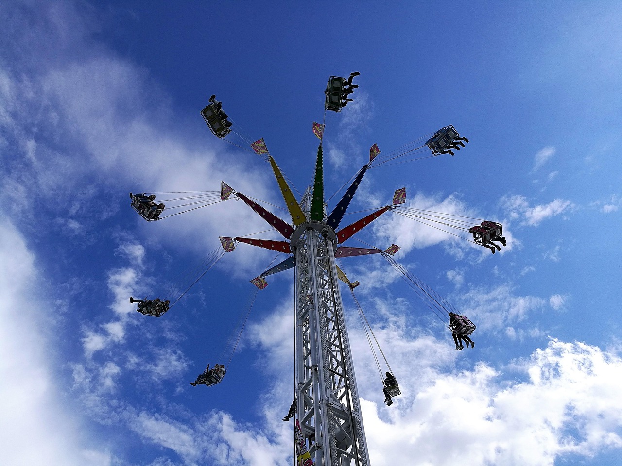 最新鸟类捕捉游戏,探索飞翔的无限乐趣