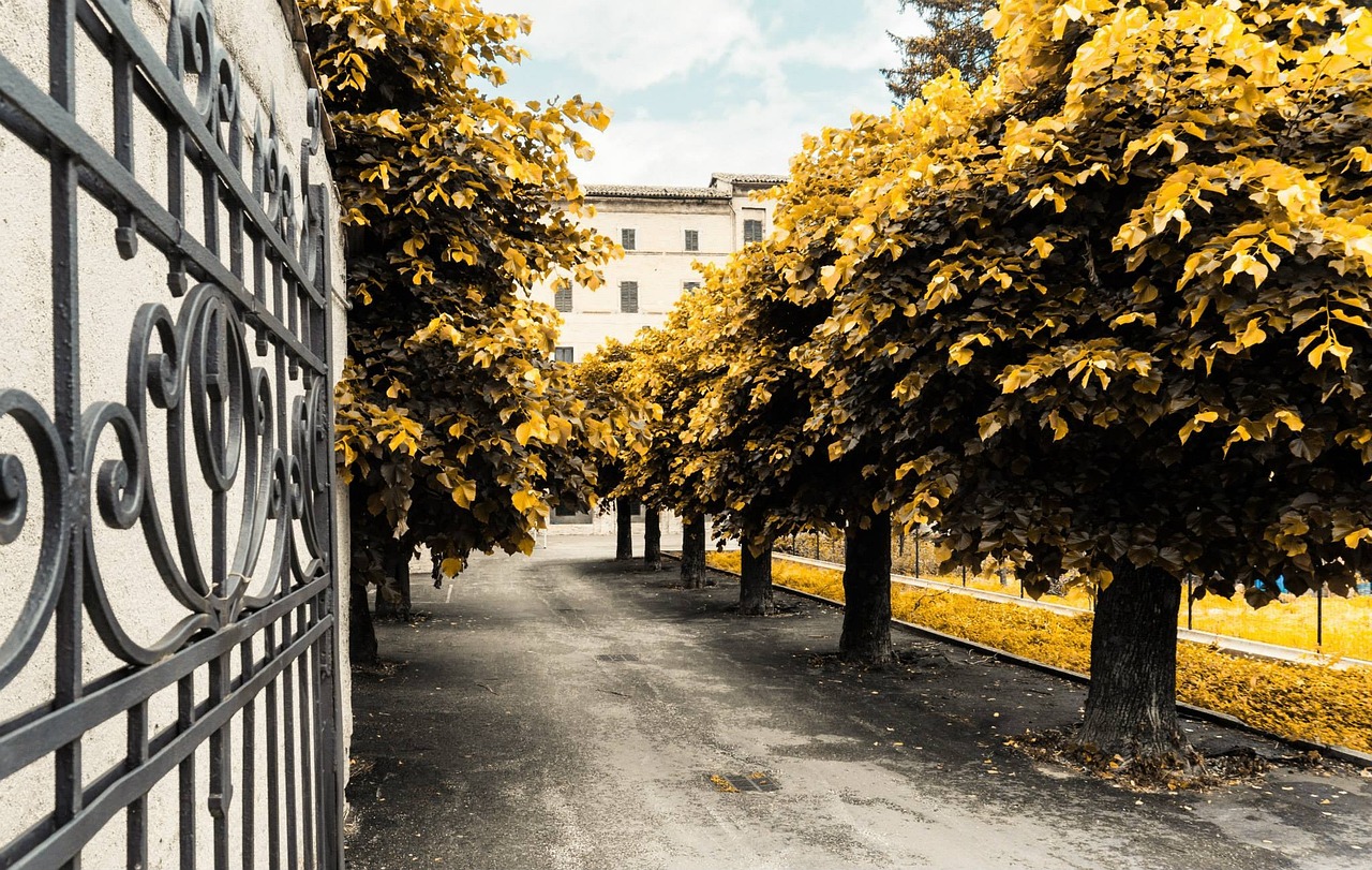 鱼化寨改造最新进展,传统村落向现代化社区的华丽蜕变