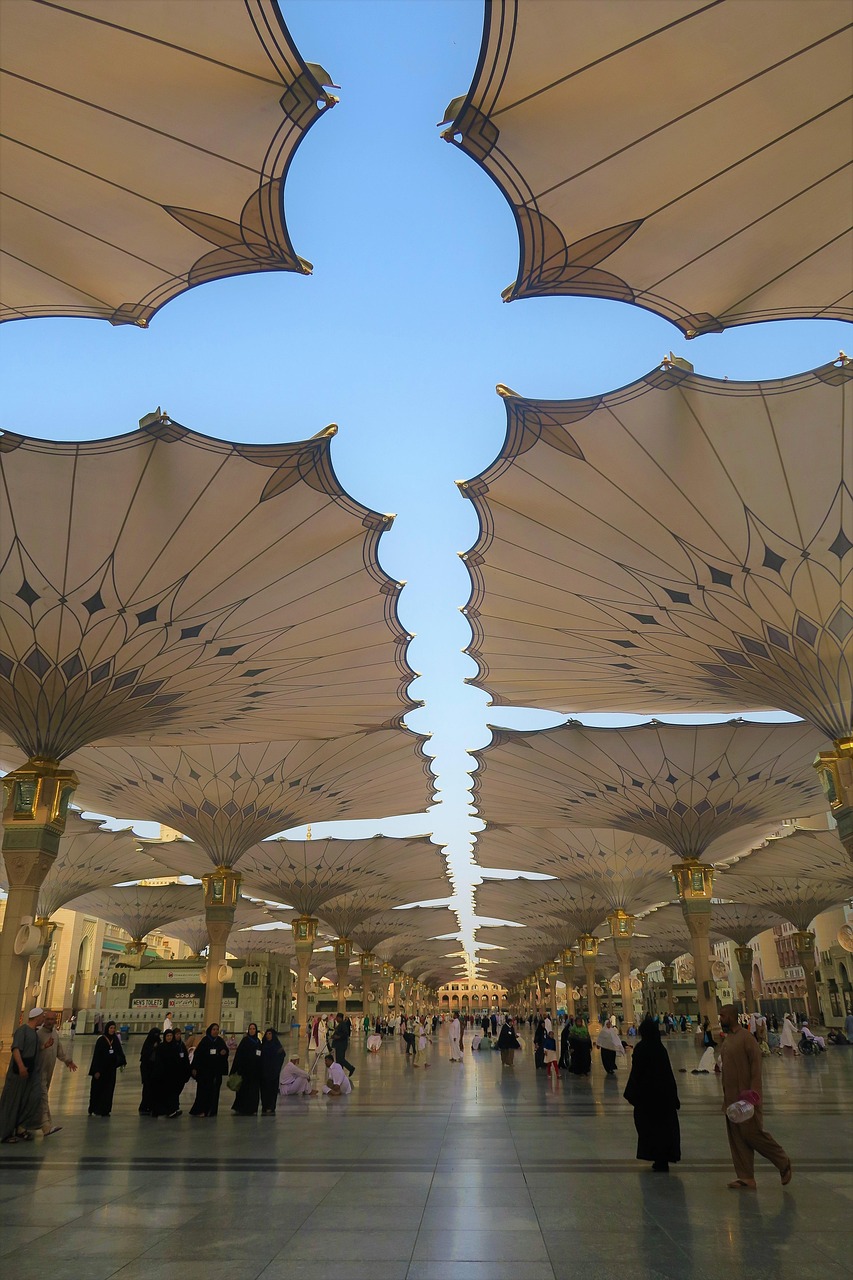 介休三佳公司最新动态,引领行业变革,共筑美好未来