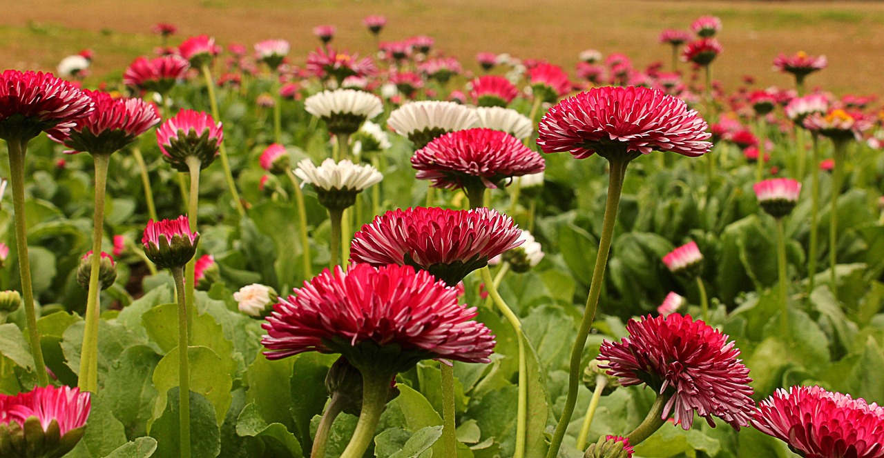 德州天润和园最新资讯概览,全面解读最新动态与资讯