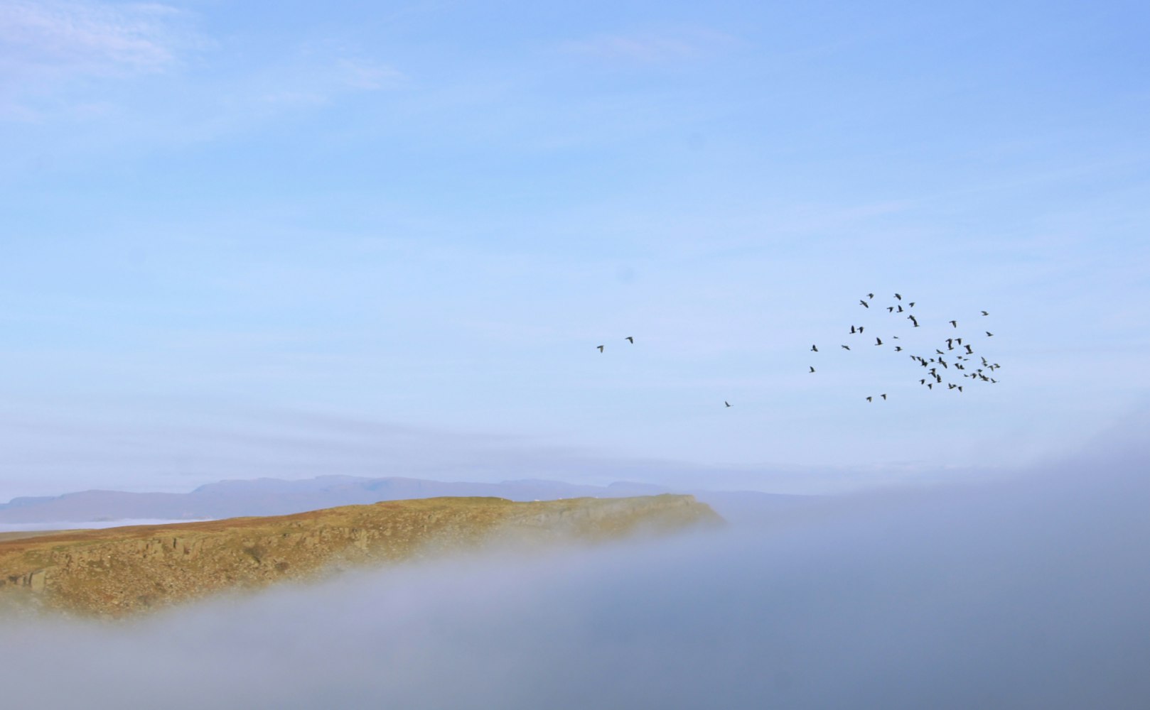 最新日本发展动态,经济、科技与文化融合探析