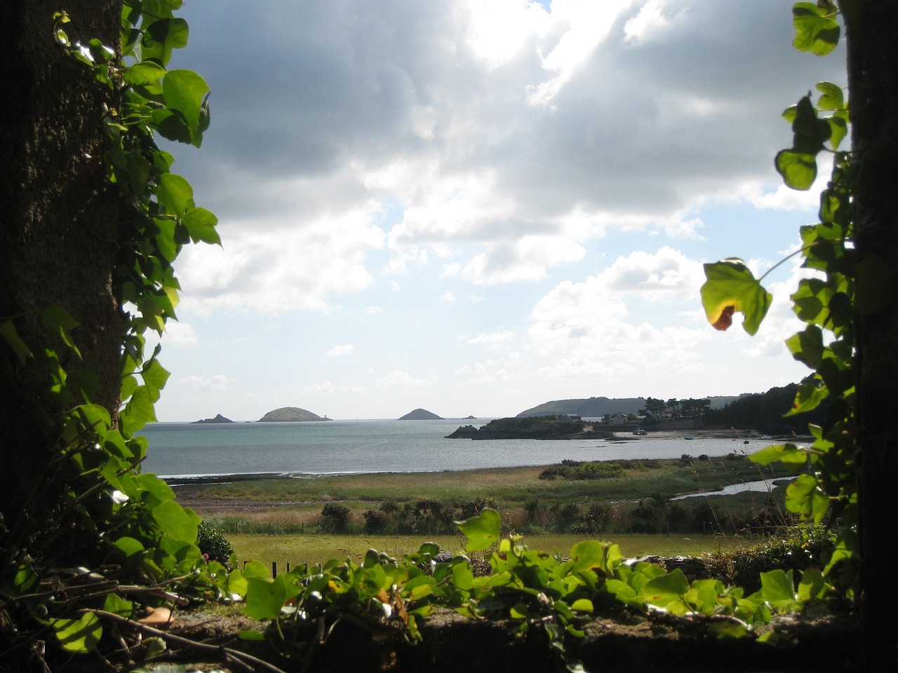 苹果期货最新动态,市场走势、影响因素及未来展望分析