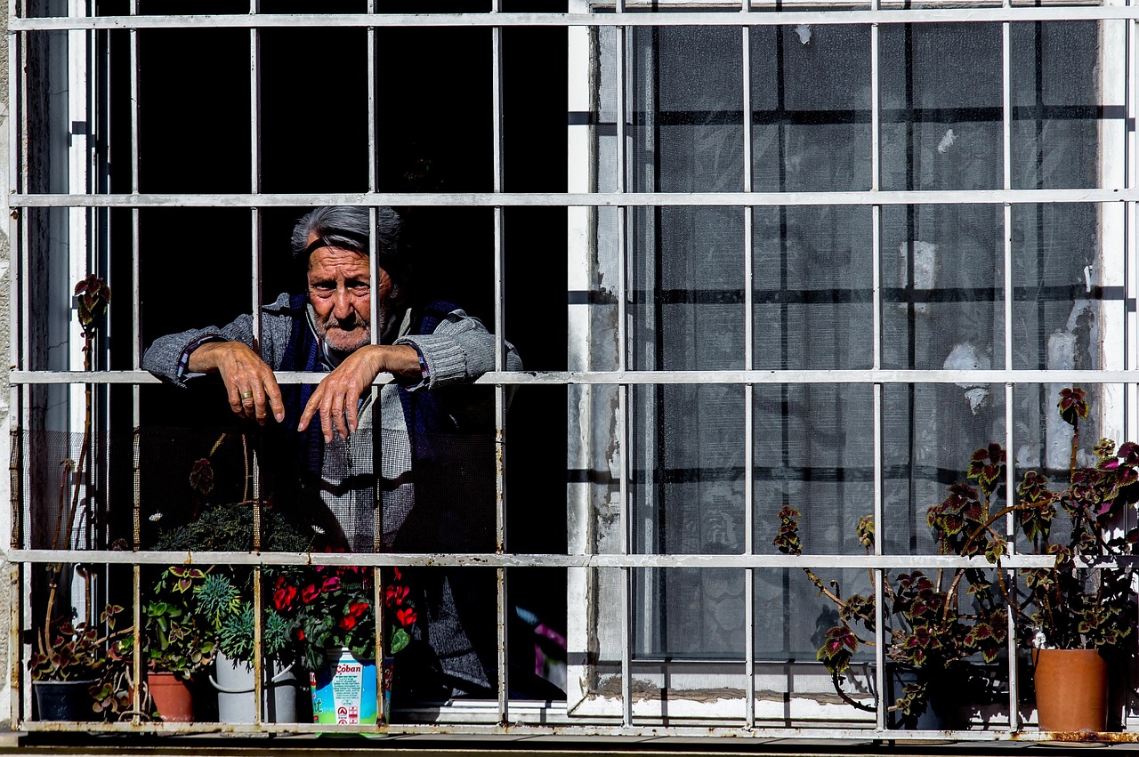 吉林市中京城最新动态揭秘,城市发展的脉搏