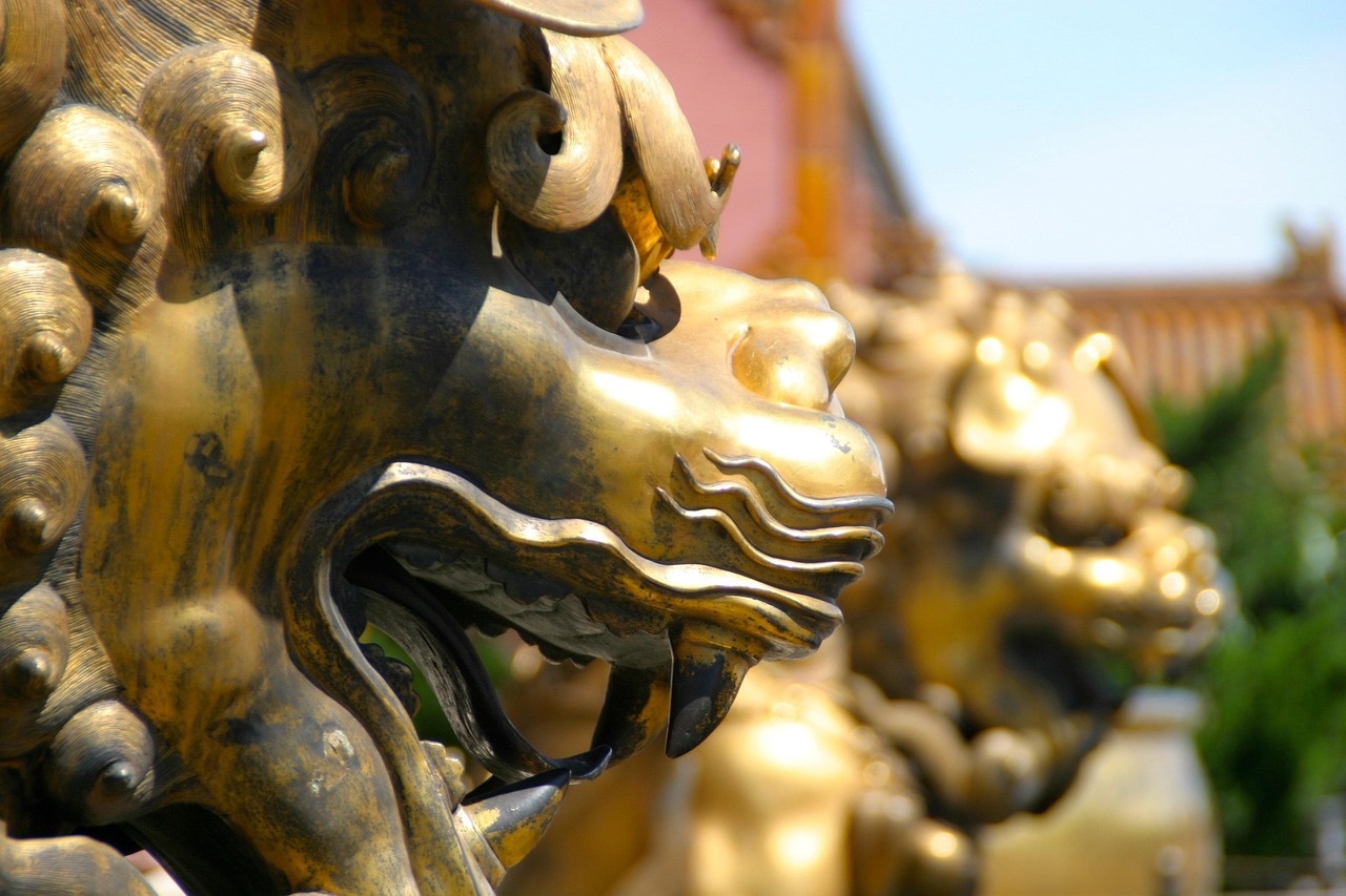 射箭比赛用弓之探秘,揭秘射箭比赛中的神秘弓种