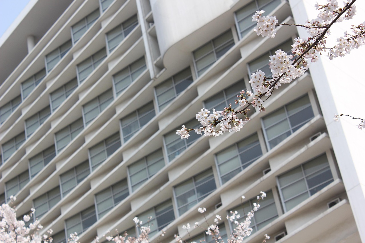 信合学府春天最新房价信息详解