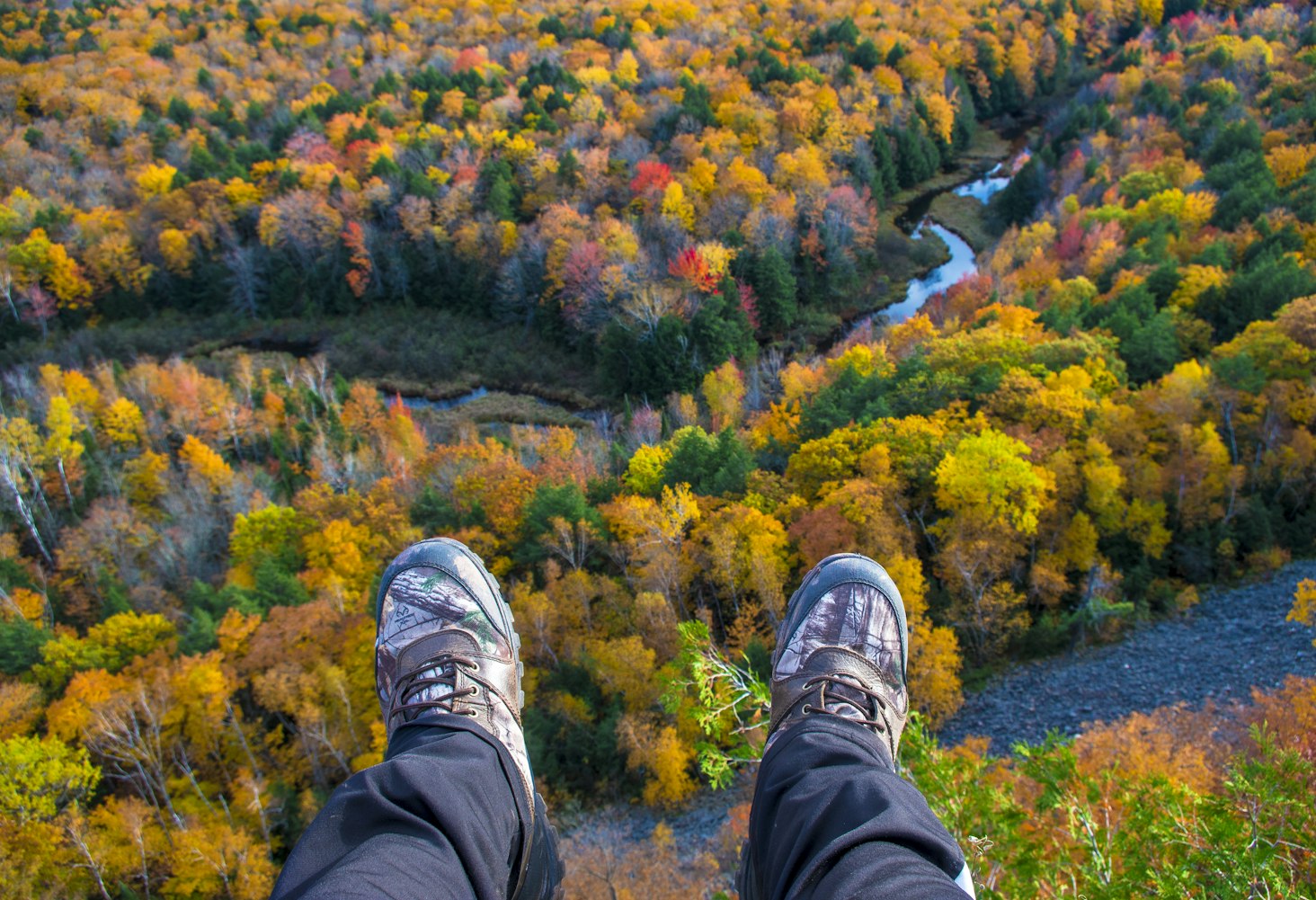 苏州乐园森林世界旅游指南最新更新