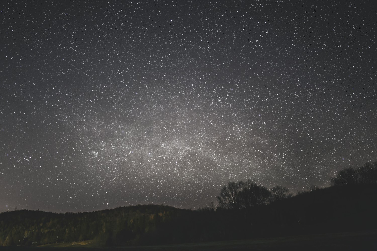 季灵,星光璀璨的艺术人生之路