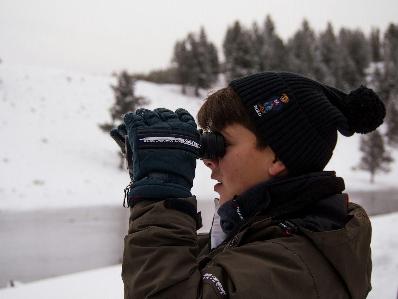 沈芯语最新动态,探索无限可能的旅程