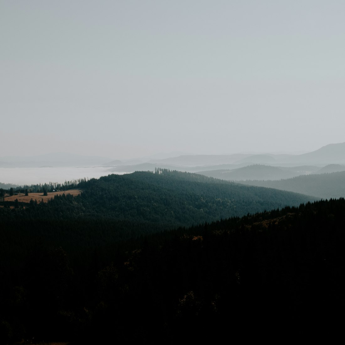 黄山股票与旅游,壮丽景色背后的商业潜力探究
