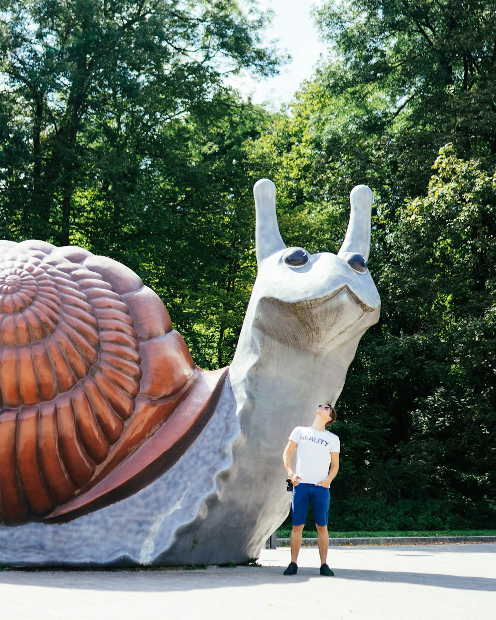 干细胞研究最新动态,突破与挑战并存的进展探索