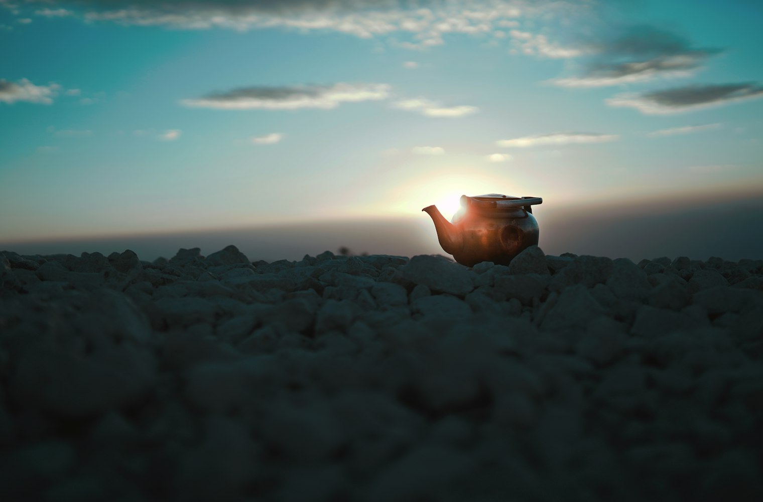 公益电影,温暖之光照亮社会