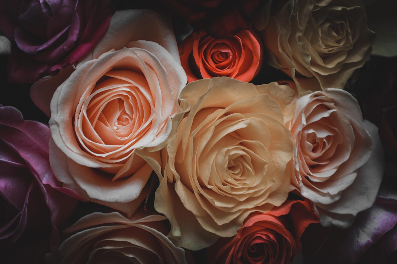 动漫少女心壁纸，美化你的数字生活之旅