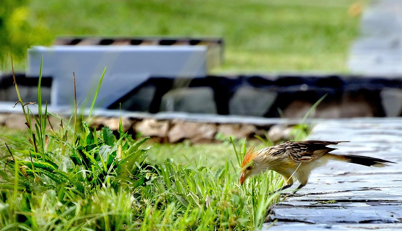 抚州硕丰天城最新价格动态及深度分析