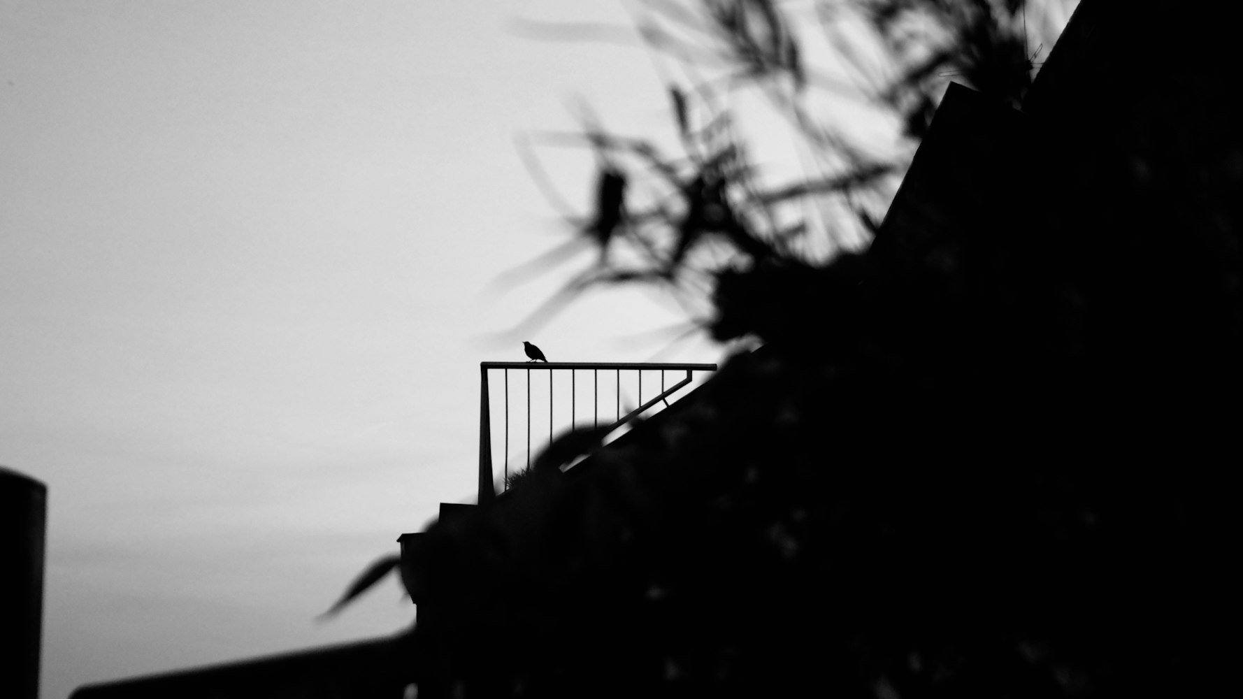 探索动漫世界，美丽图像的魅力与深远影响