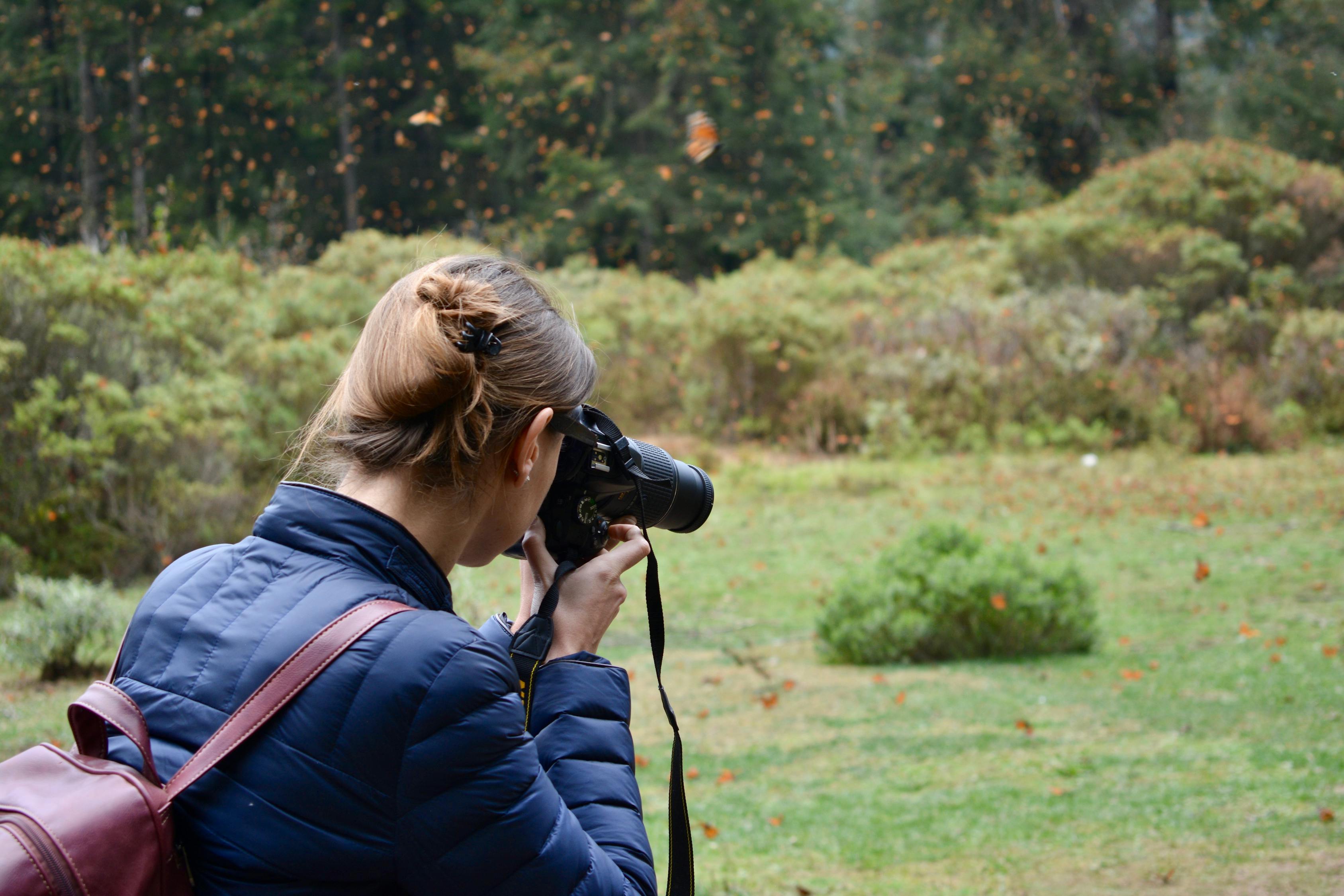 甄子丹2017新作电影，期待与超越的震撼呈现