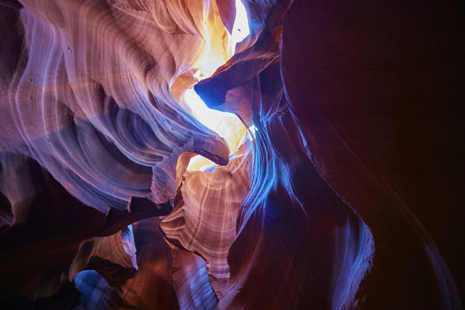 范冰冰最新动态，全球闪耀，引领时尚潮流之巅