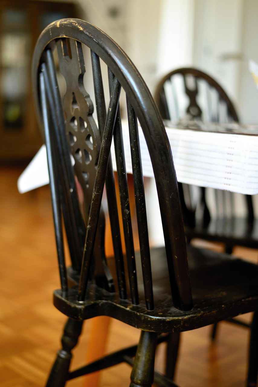 驴家小志的最新动态与生活点滴更新速递