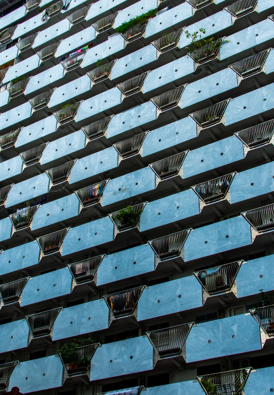 新野蔬菜最新价格概览与动态分析