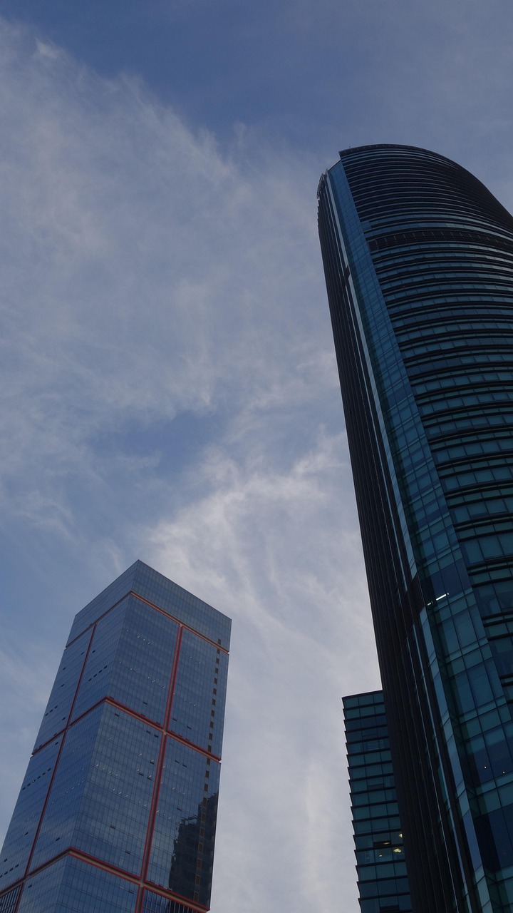 福建金森迈向高质量发展新征程的最新动态