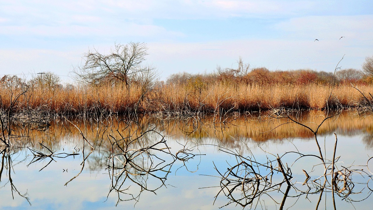 浮梁春湖圣岛最新动态揭秘