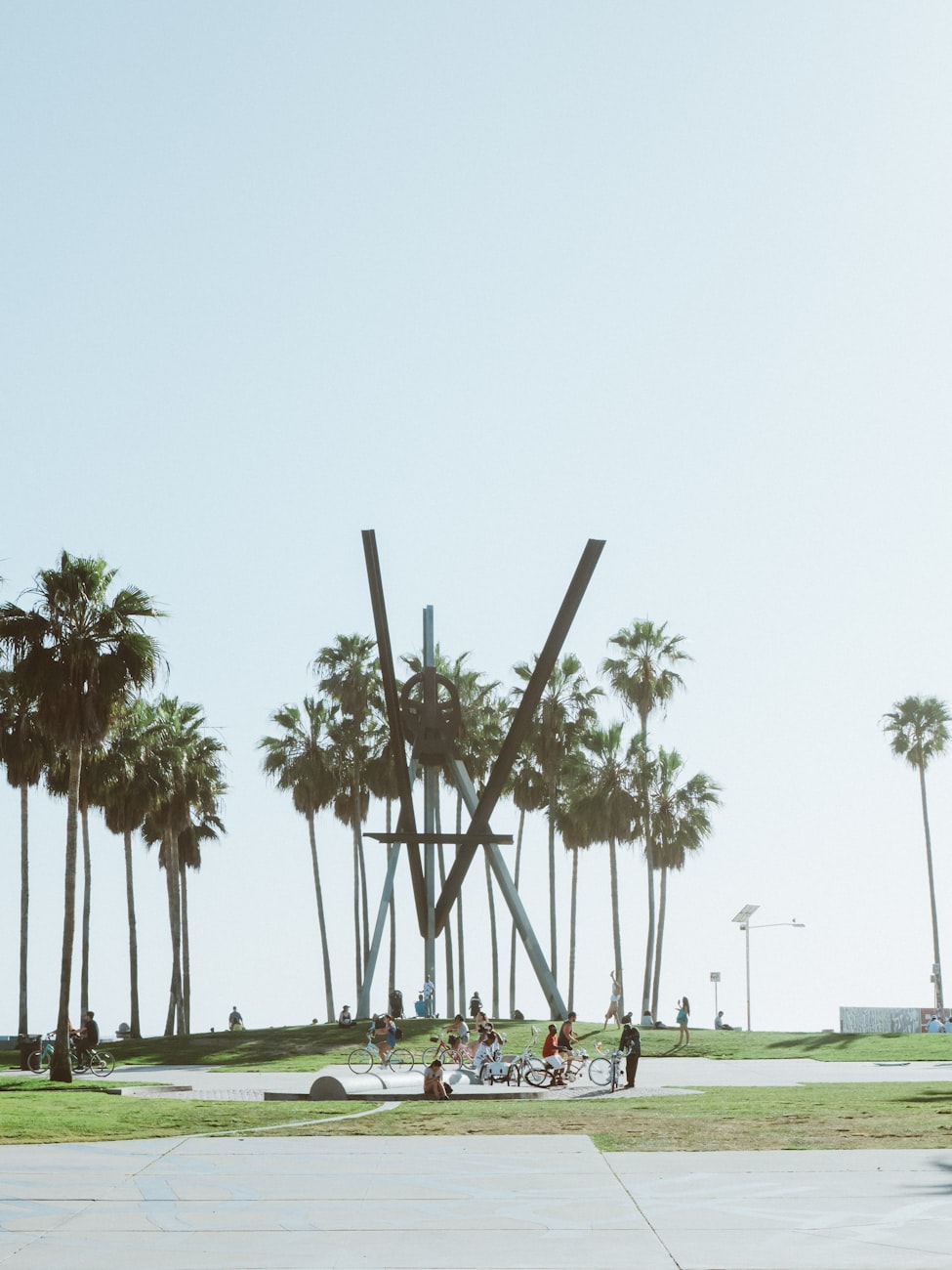 活力四溢的章丘群最新动态与社群现象探讨