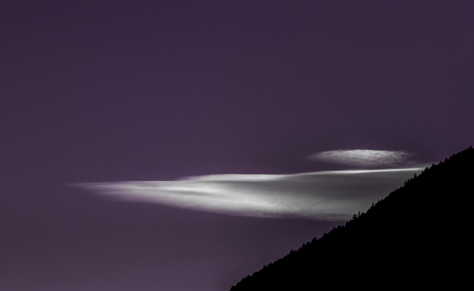 最新本道元，探索未知，引领未来之道