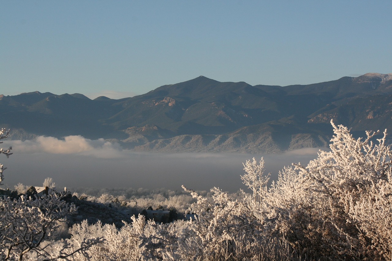 秦岭动态资讯，自然与人文的交融之美探索