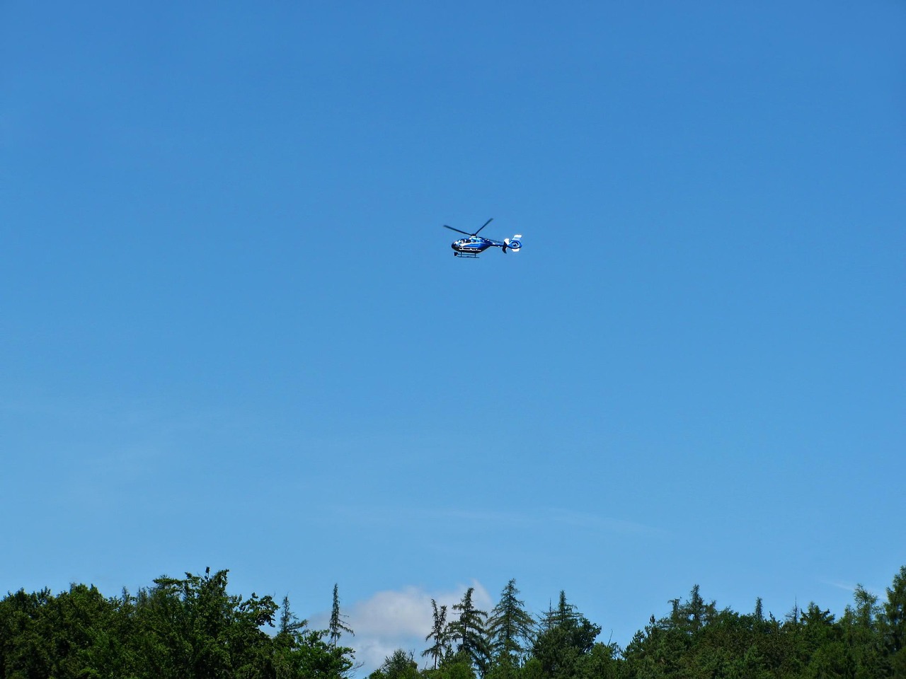 北影事件最新动态,新浪报道更新速递