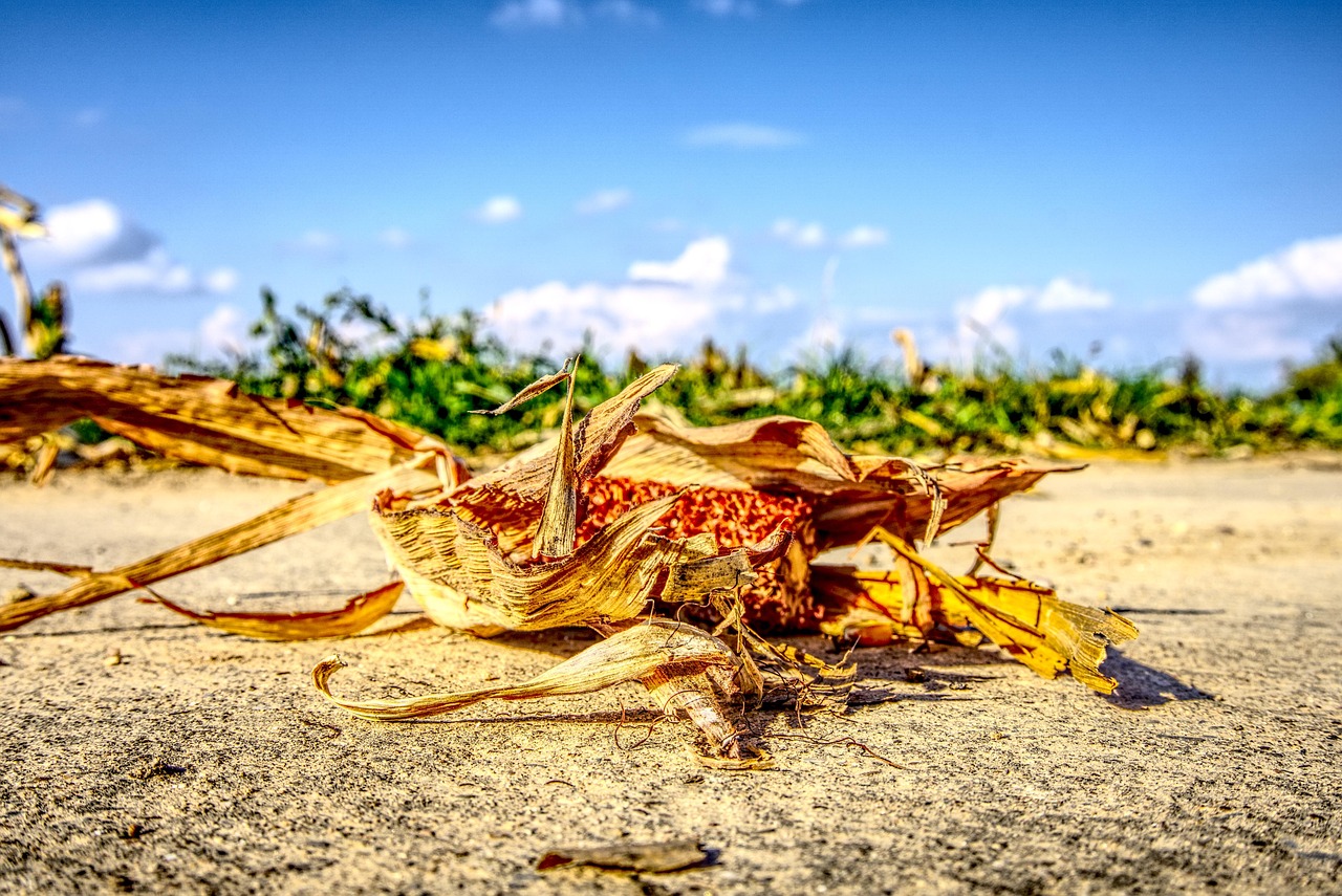 王俊凯最新动态,闪耀明星继续前行之路